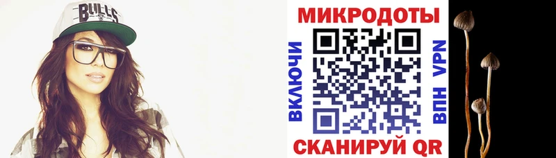Галлюциногенные грибы Psilocybine cubensis Чистополь