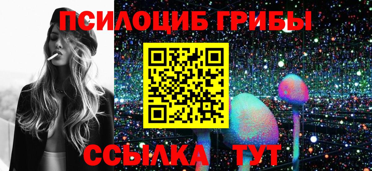 Псилоцибиновые грибы Cubensis  Чистополь 