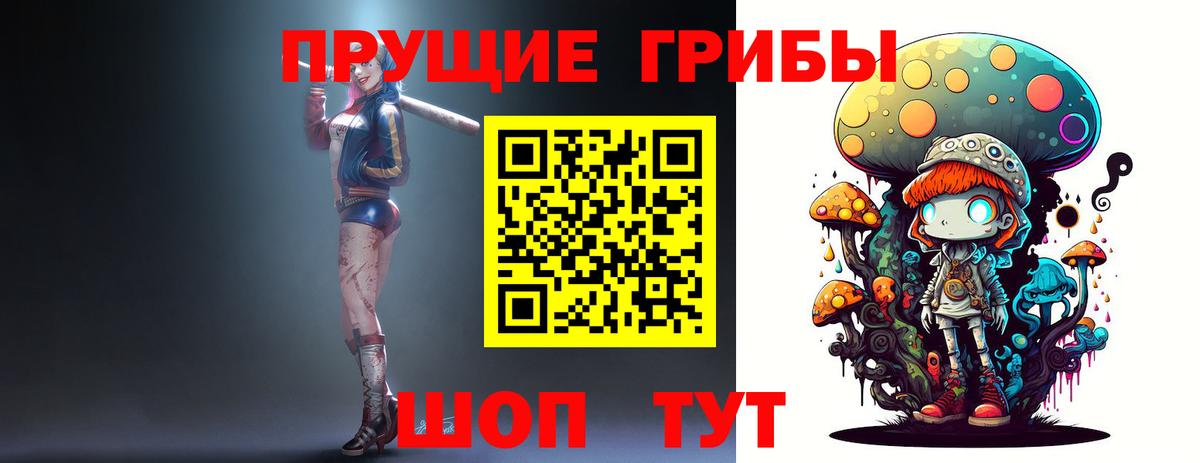 Галлюциногенные грибы Psilocybine cubensis Чистополь